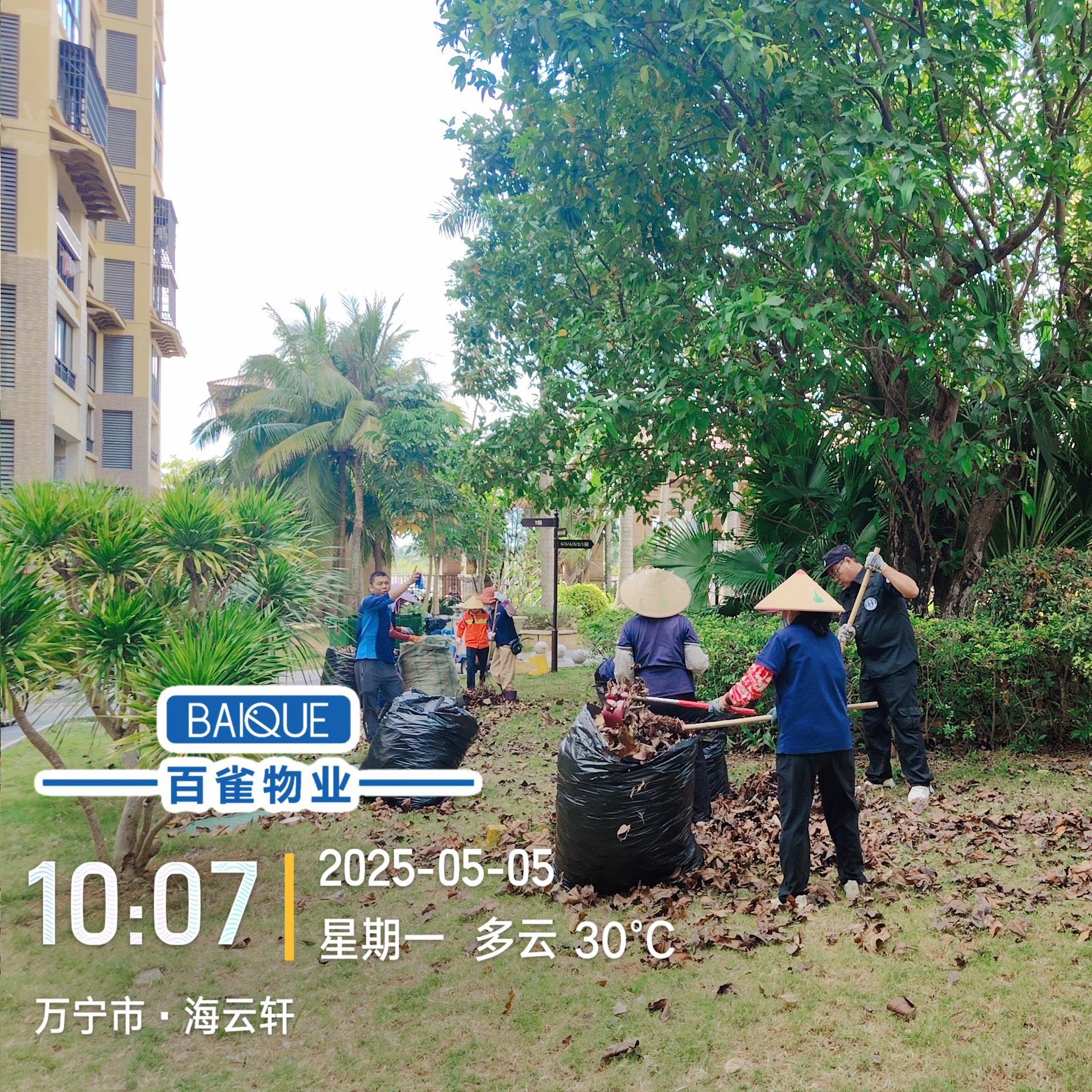 百雀物業(yè) | 開展"潔凈家園"公益行動(dòng)