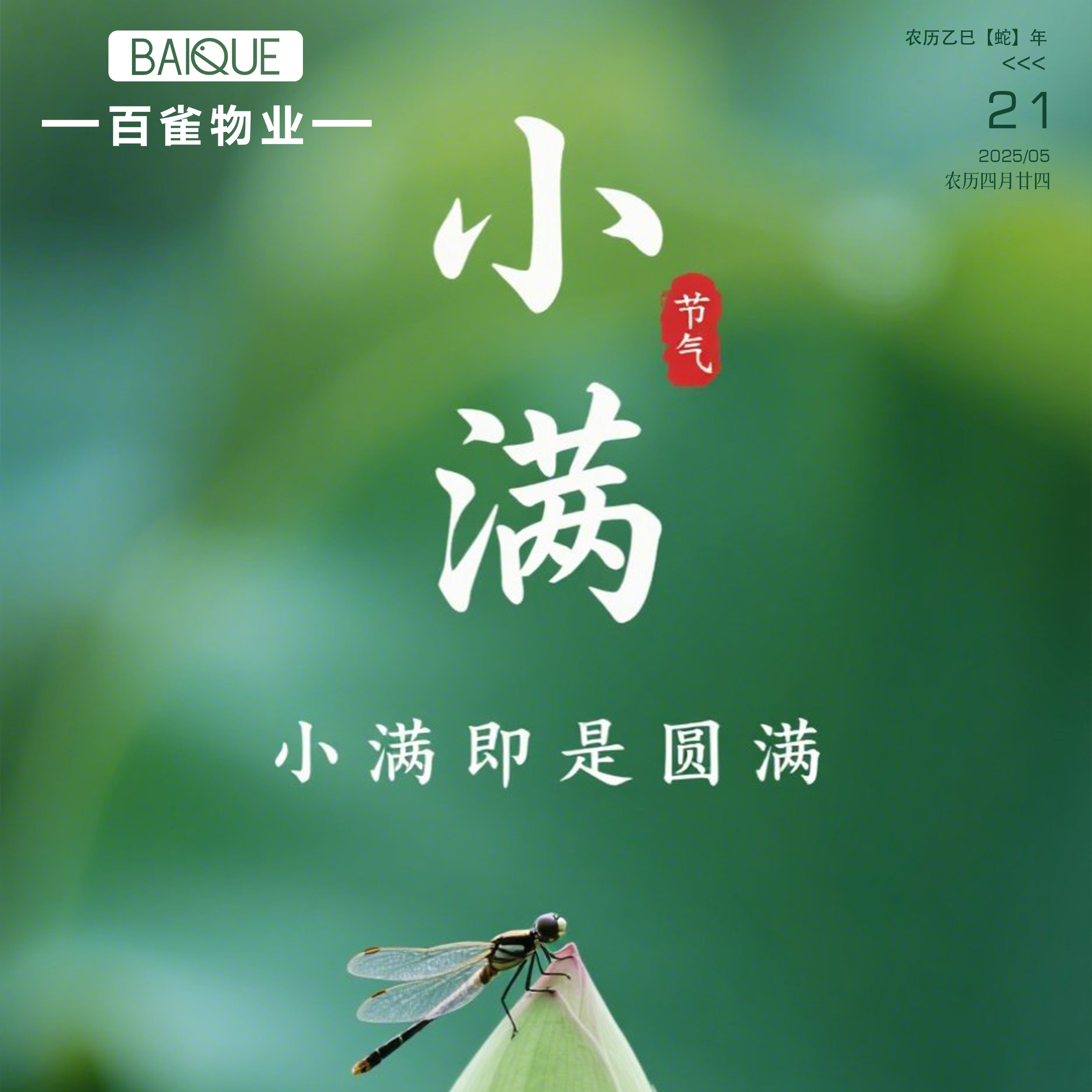 二十四節(jié)氣 | 小滿